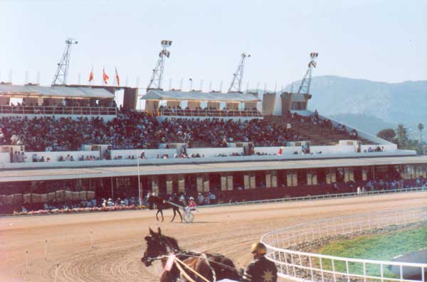 El Hipodromo de Son Pardo. Lugar de encuentro de los aficionados a las carreras